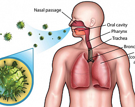 Как избежать заражения ОРВИ - советы медиков