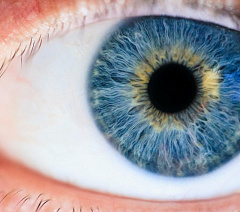 Можно ли вылечить катаракту и обязательна ли операция?